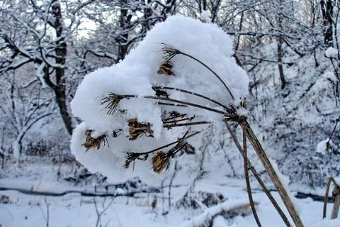 After the cyclone Stock Photos