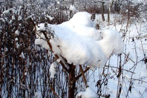 After the cyclone Stock Photos