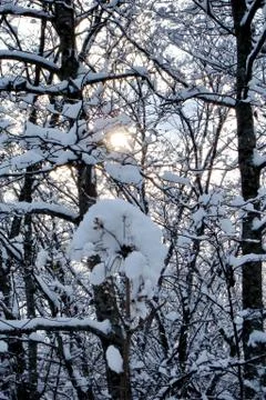 After the cyclone Stock Photos