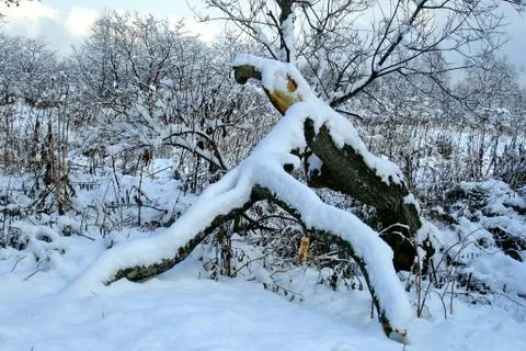 After the cyclone Stock Photos