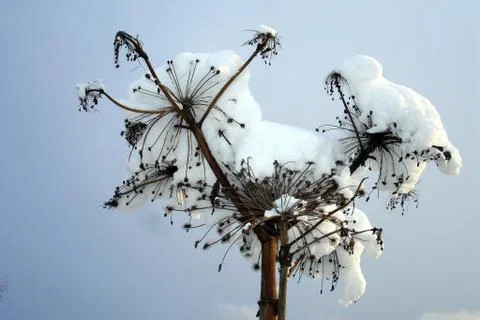 After the cyclone Stock Photos