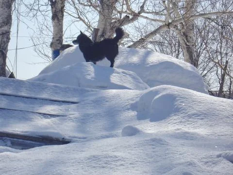 After the cyclone Stock Photos