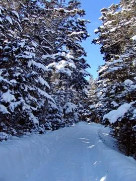 After the cyclone Stock Photos