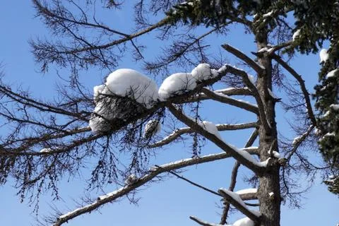 After the cyclone Stock Photos