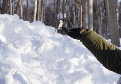 After the cyclone Stock Photos