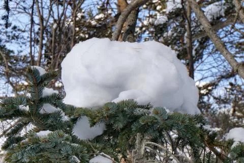 After the cyclone Stock Photos