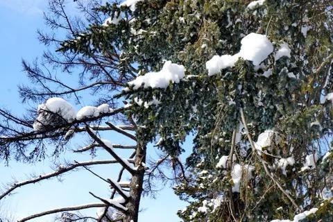 After the cyclone Stock Photos