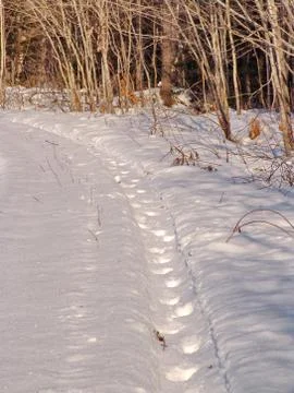 After the cyclone Stock Photos