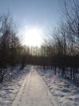 After the cyclone Stock Photos