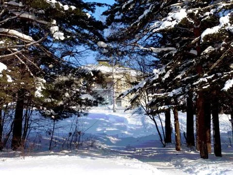 After the cyclone Stock Photos