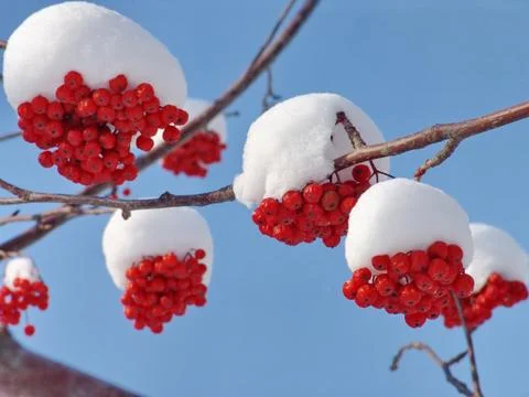 After the cyclone Stock Photos