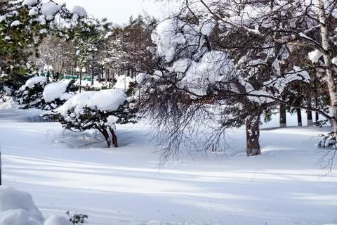 After the cyclone Stock Photos