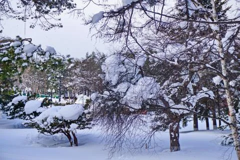 After the cyclone Stock Photos