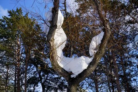 After the cyclone Stock Photos