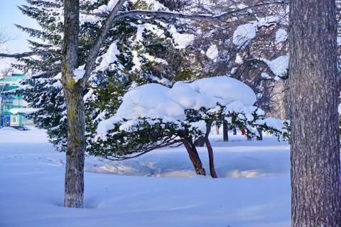 After the cyclone Stock Photos