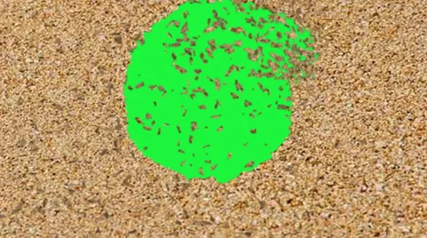 After effects background video - green screen effect Stock Footage 34322619
