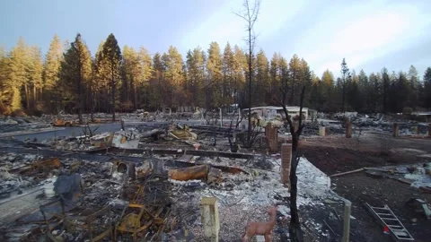 After the Fire 2 Stock Footage 296364116
