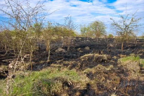 After a fire Stock Photos