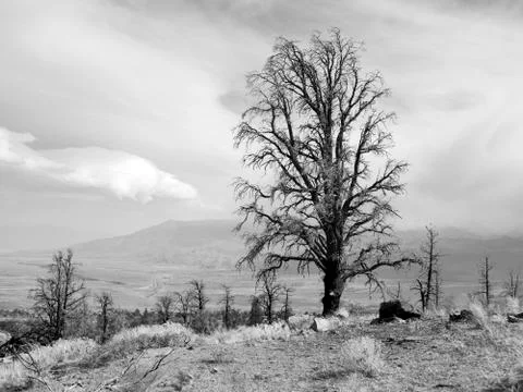 After the fire Stock Photos