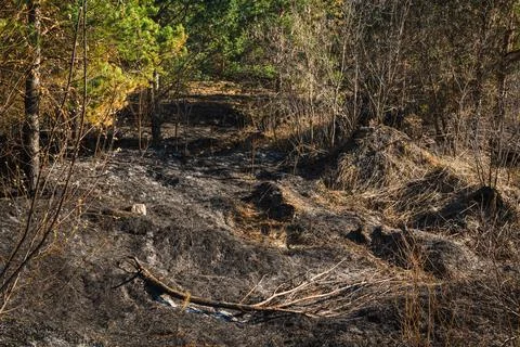 After the fire Stock Photos