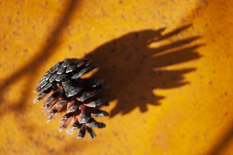 After a fire Stock Photos