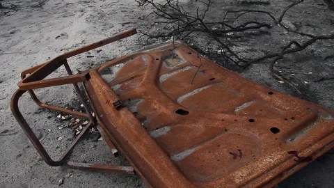 After the fires Stock Footage 94255157