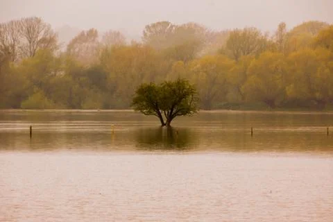 After the flood Stock Photos