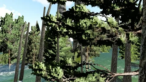 After Flood Tree and water Stock Footage 337548027