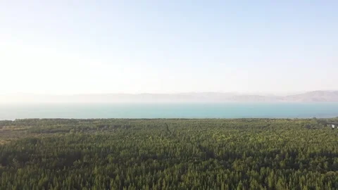 After the forest  a view of the lake opens up 2 Vidéo 330782500