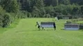 After Horse Racing show jumping staff removes the hurdle HD Footage