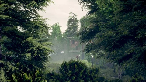 After Humans Stock Footage 126774652