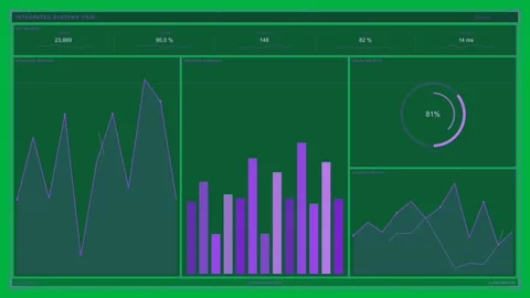 After init dash animating on clear bg, bars rising, gauge filling, metrics Stock Footage 334118927