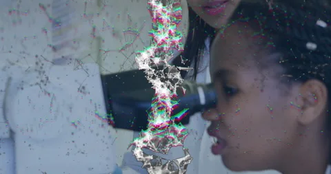 After instructor pointing knob, student adjusting microscope focus and examining Stock Footage 312843390