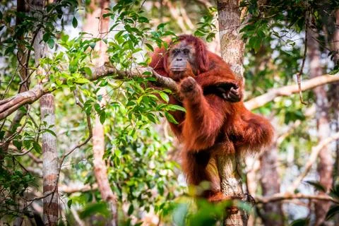 After lunch Stock Photos