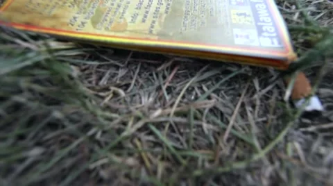 After party grass with cigarettes and a flyer 스톡 동영상 47322963