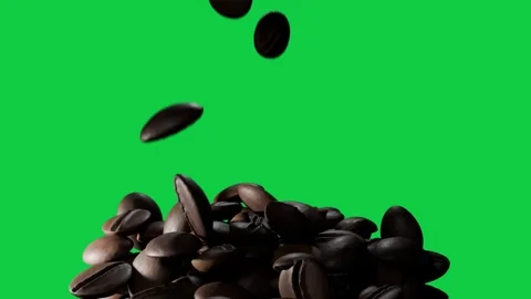 After pause roasted coffee beans falling, hitting pile on transparent backdrop, 스톡 동영상 337506416