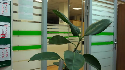 After pausing from work and correcting the date on the calendar, the employee Stock Footage 111183470