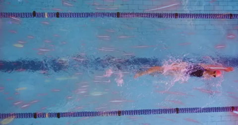 After pushing off pool wall, swimmer doing front crawl in sports training lane Stock Footage 315549265