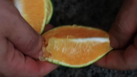 After quartering the orange with precision, a segment of the peel is delicately  Stock Footage 254601017