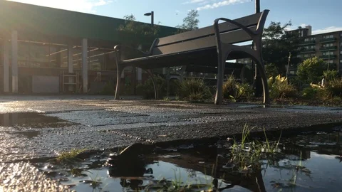 After the Rain 4 Stock Footage 102080586