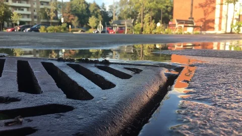 After the Rain 5 Video stock 102080582