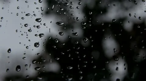 After the Rain Video stock 12330952