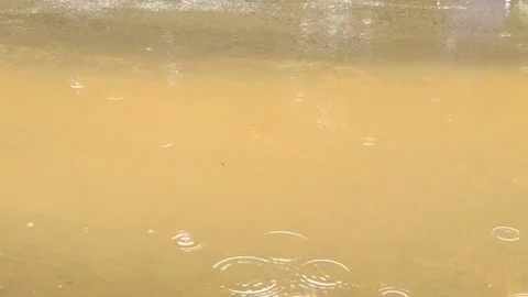 After the Rain Stock Footage 230391682
