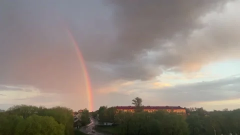 After the rain. Video stock 239510262