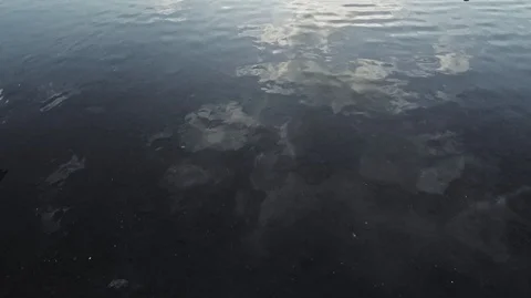 After the rain formed a large puddle on the roof of the abandoned building, from Stock Footage 124278108
