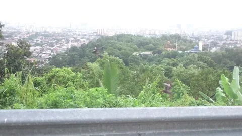 A after rain KL View Stock Footage 145804930