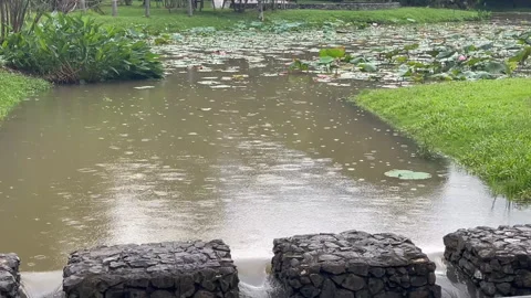 After rain overflowing natural resource of water11 Stock Footage 321750380