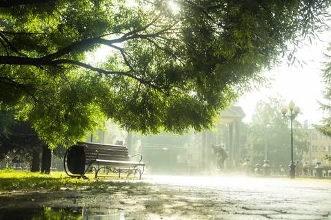 After the rain park Stock-Fotos