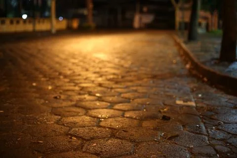 After Rain Stock Photos