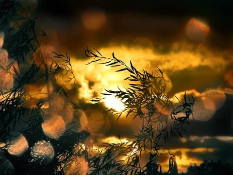 After rain Stock Photos